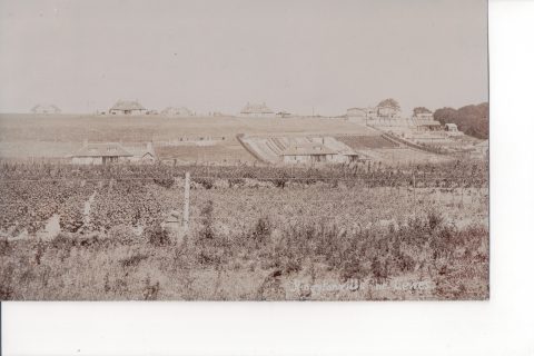 A postcard of The Avenue and The Ridge posted 1923